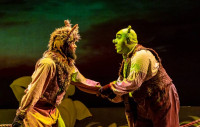 (L to R) Eustace J. Williams (Donkey) and Jordan DeBose (Shrek) in SHREK: THE MUSICAL, from Music Theater Works, now playing through December 31 at the North Shore Center for the Performing Arts in Skokie.