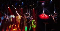 Creepy-Crawly Circus Magic: OVO Dazzles at NOW Arena!