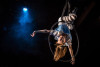 We're All Mad Here – Alice at Lookingglass