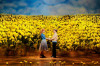 Big Fish Is Family Fun
