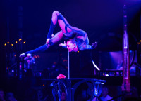 Contortionist Elayne Kramer in Teatro ZinZinni Love, Chaos, and Dinner.
